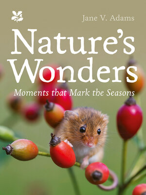 cover image of Nature's Wonders